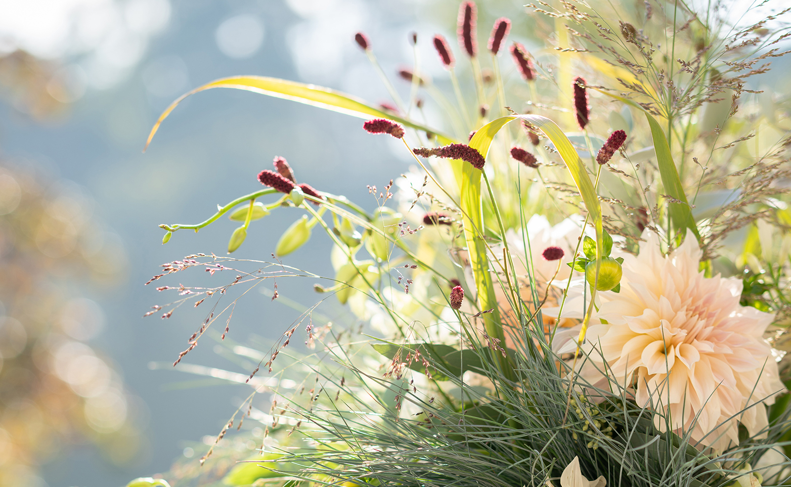 Bijzonder Bloemen